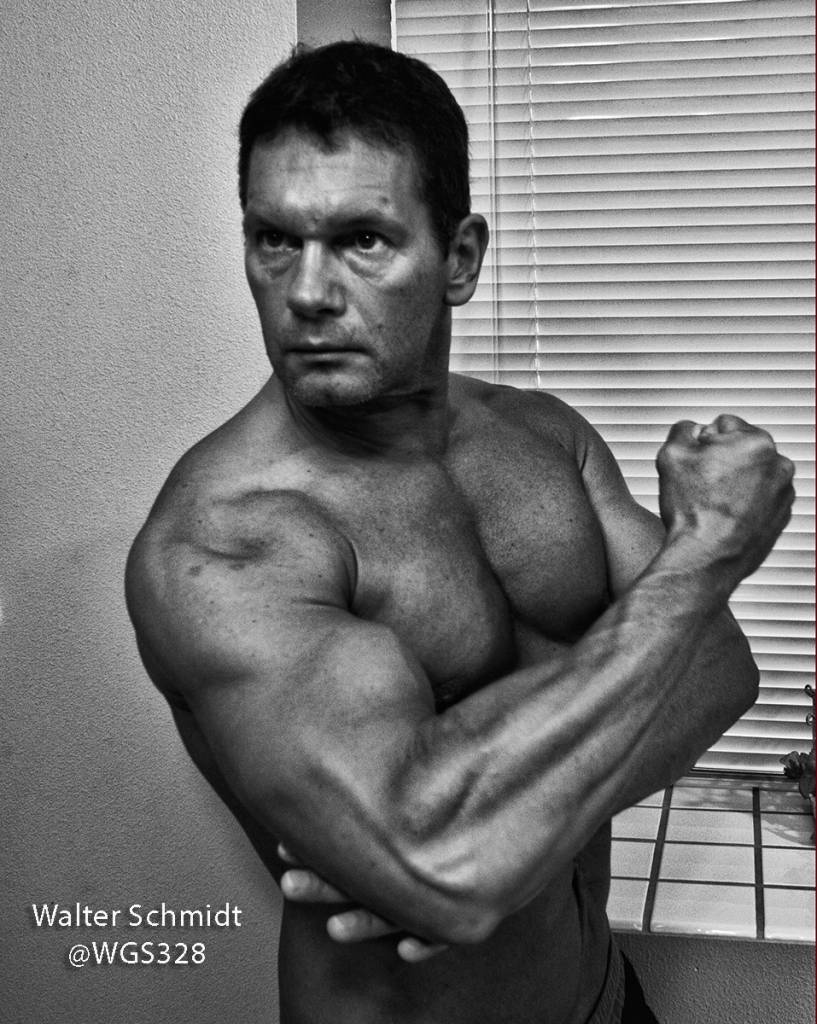 Walter Schmidt